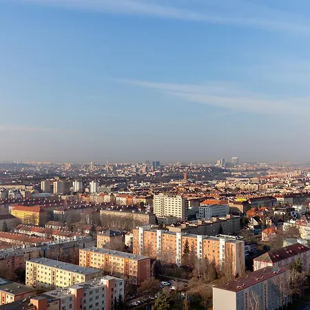 اي آند أو ريا